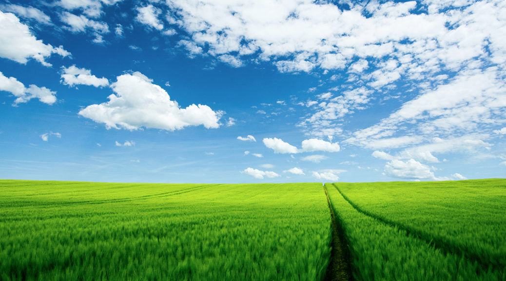 Blue-Sky-over-Green-Field-with-Tractor-Marks